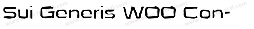 Sui Generis W00 Con字体转换